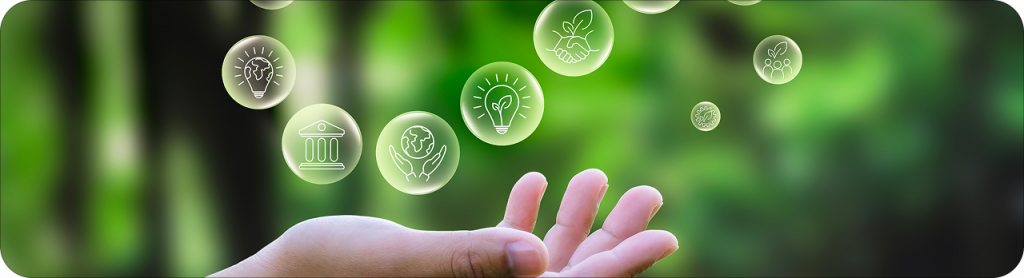 Sustainability Assurance