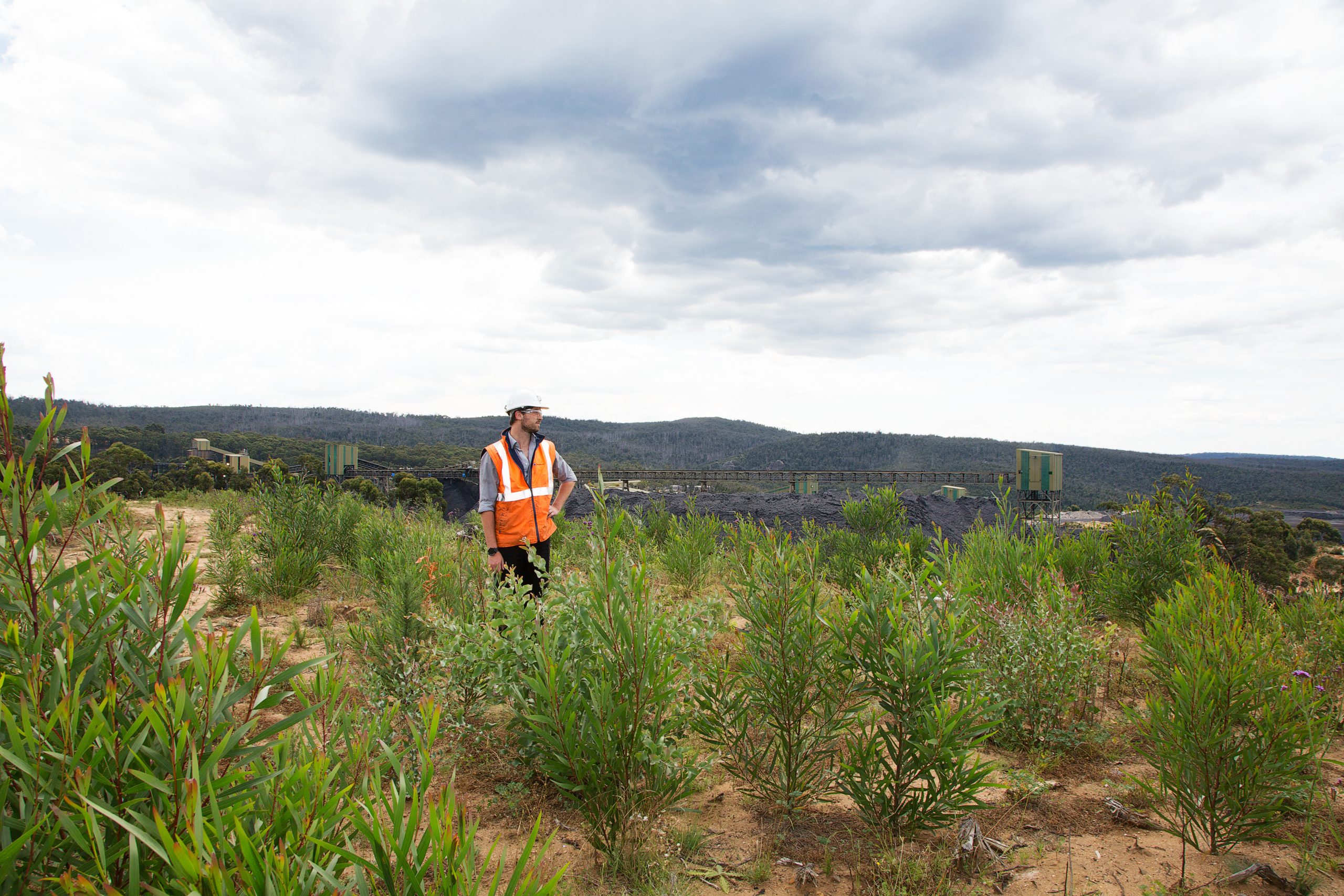 MINE SUBSIDENCE MANAGEMENT (2)