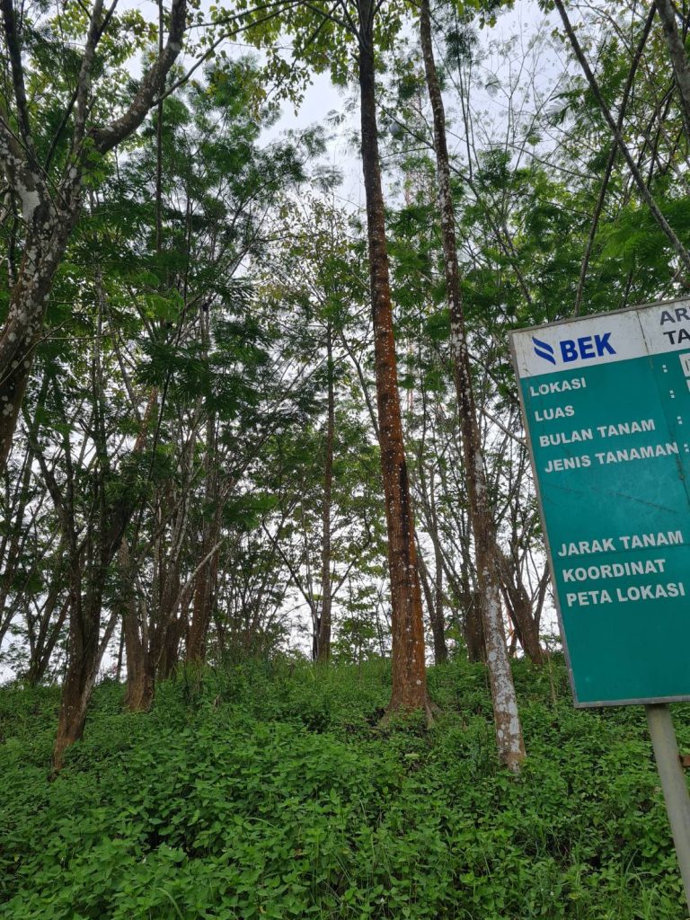 REHABILITATION MANAGEMENT